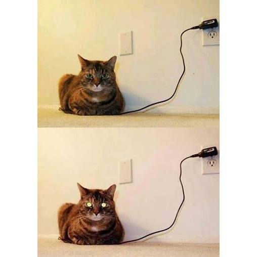 html business templates